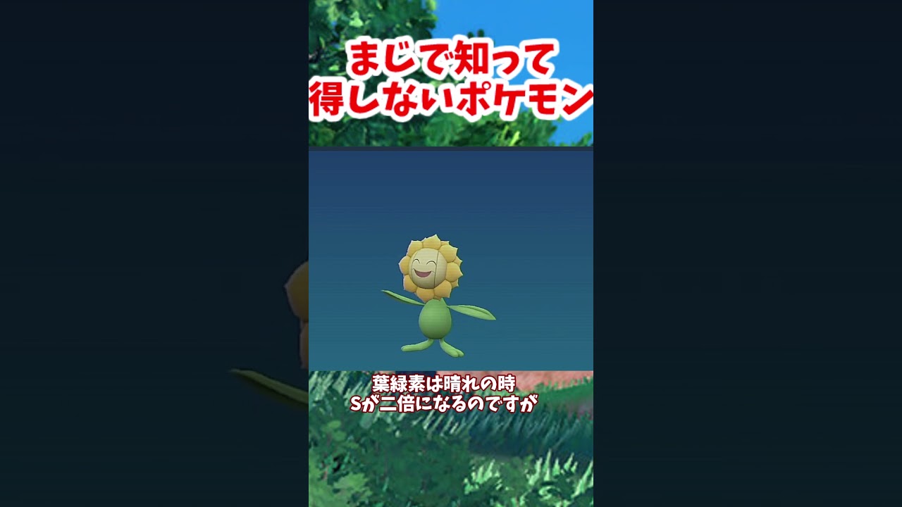 知って得しないキマワリを30秒で解説[ポケモンSV]#shorts