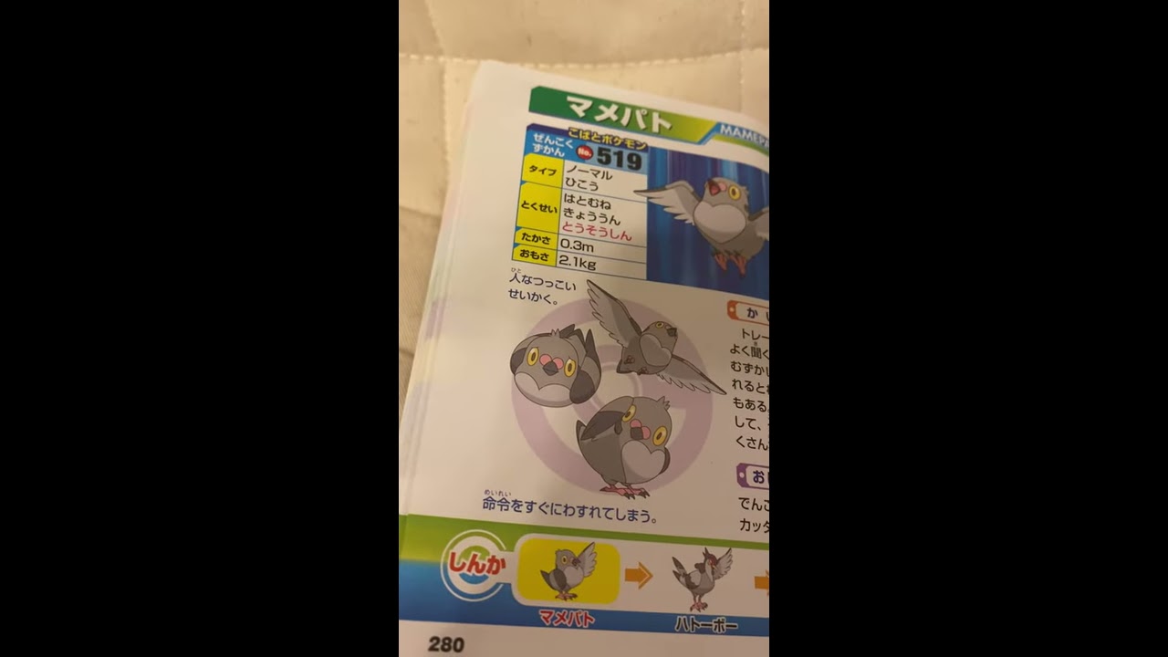 マメパト紹介　ポケモンキャラクター　ポケットモンスター