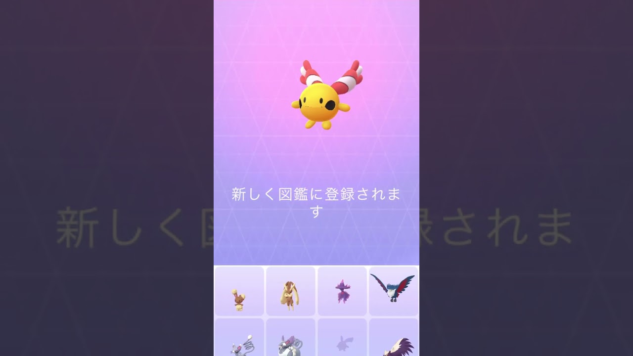 チリーンの赤ちゃん生まれた✨