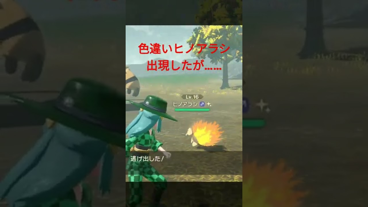 【ポケモンレジェンズアルセウス】色違いヒノアラシ出現したが…