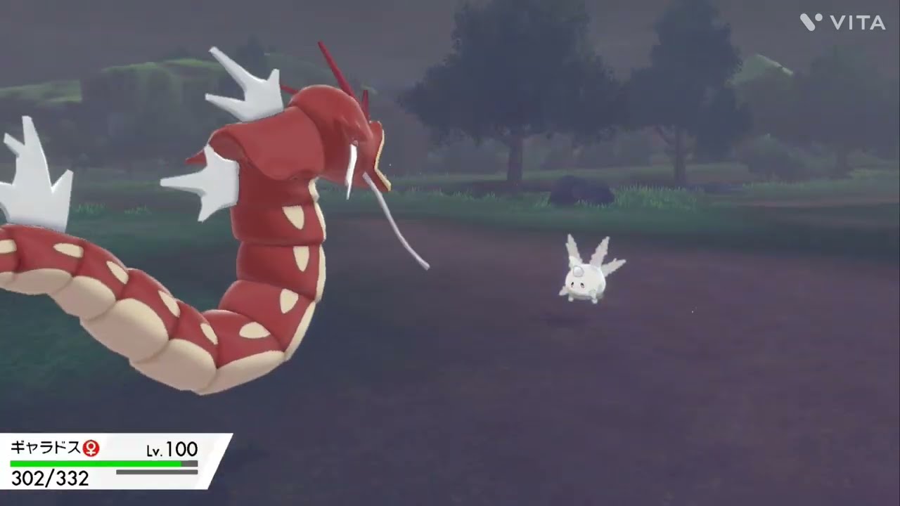 【ポケモン剣盾】サニーゴはポケモンシールド限定💕