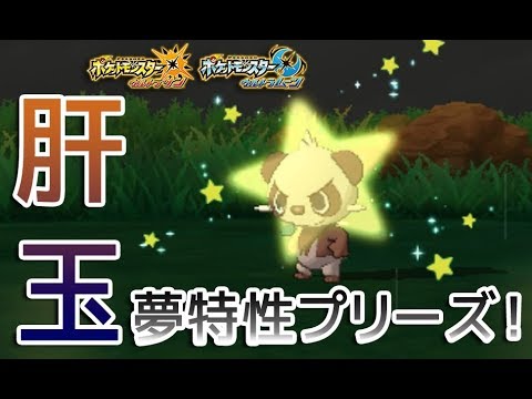 【ポケモンUSUM】色違いヤンチャムをGETしてみた【仲間呼び連鎖】
