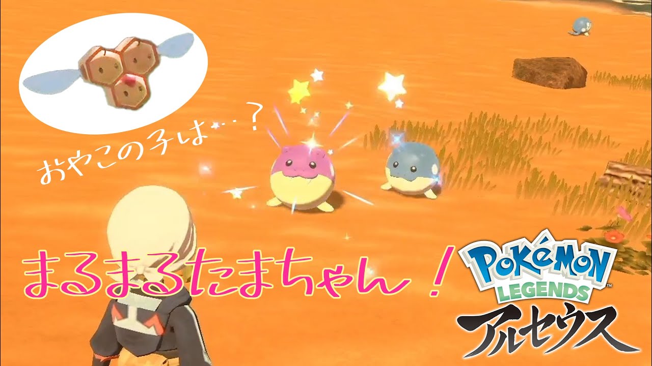 【Pokémon LEGENDS アルセウス】色違いタマザラシ！ころころ事故とハチの乱入？！【なゆ一人実況】