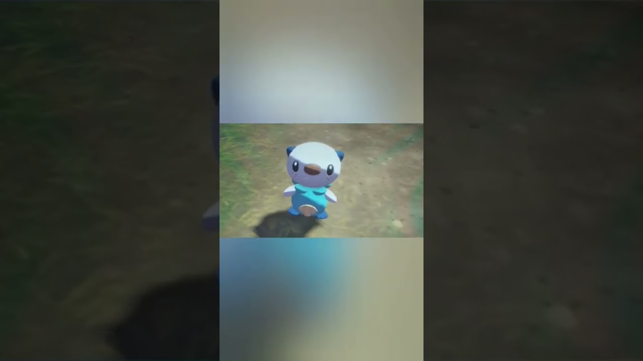 いつでもミジュマル✨