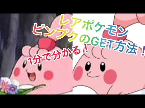 legends アルセウス！レアポケモンピンプクをGETする方法を1分で解説！