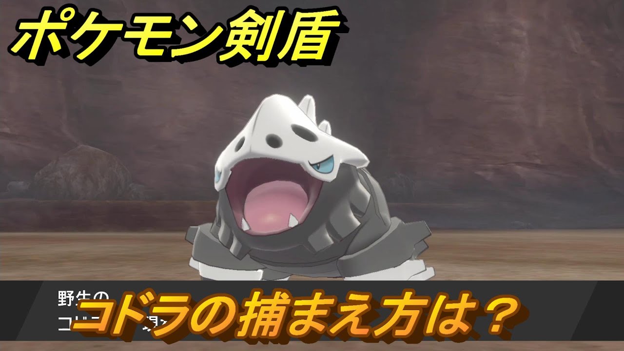 ポケモン剣盾　コドラを捕まえる方法！オススメの場所は？天気は？ポケモン図鑑コンプへの道！　最新版【ポケモンソード・シールド】
