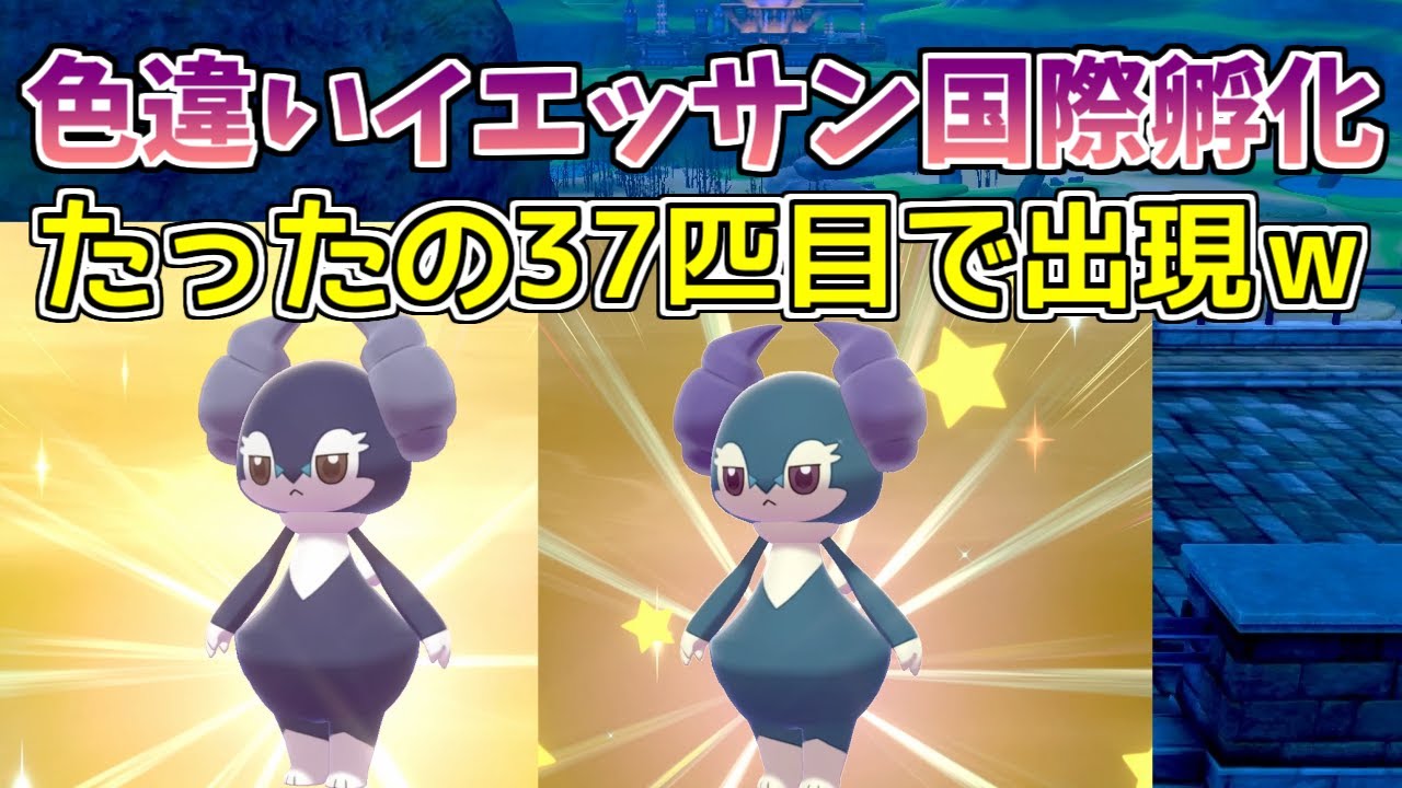 【ポケモン剣盾】色違いイエッサン国際孵化厳選で開始してすぐ出現した【ポケットモンスター】