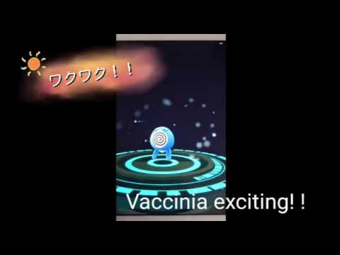 大人気！！　ポケモンGO　進化　ニョロモ→ニョロゾ　　Very popular! ! Pokemon GO evolution Poliwag → Nyorozo