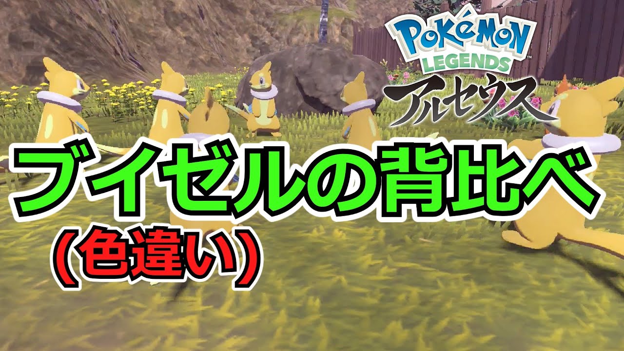 【ほぼ不可能】色違いブイゼルの背比べ(サブ任務)が鬼難易度すぎたｗ【ポケモンレジェンズアルセウス　サブ任務編】【ゆっくり実況】