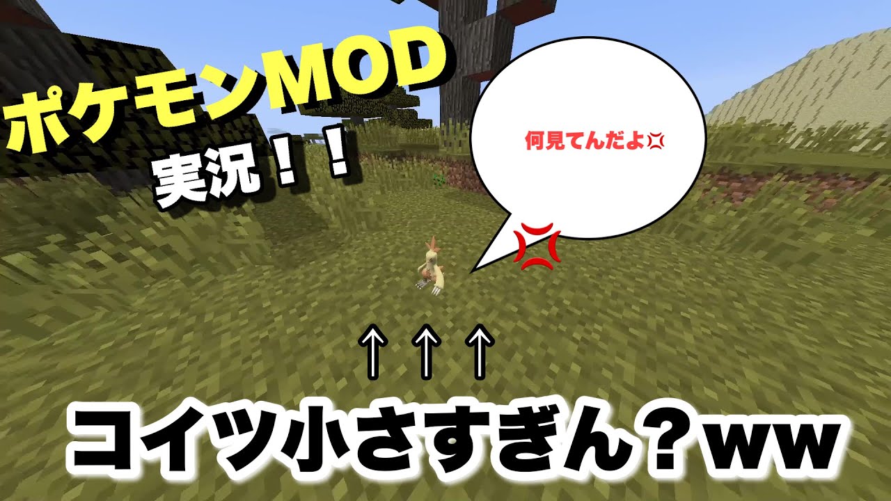 【マイクラ】めざせ！ポケモンマスター！#２唐突に出会った小さいワカシャモｗ【ポケモンMOD】