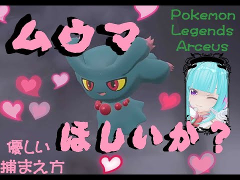 【レジェンズアルセウス】ムウマの捕まえ方編【ポケモン】