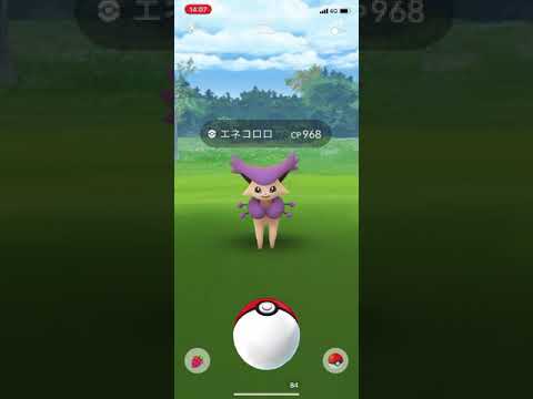 ポケモンgo 野生のエネコロロゲットチャレンジ