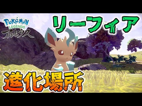 【進化Ver】リーフィアの入手方法をご紹介【ポケモンレジェンズ/アルセウス】