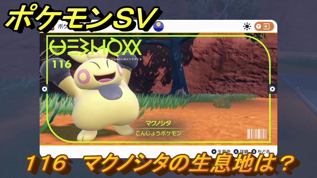 ポケモンＳＶ　マクノシタの生息地は？図鑑No.１１６　おすすめ場所紹介！ポケモン図鑑を完成させよう！　【ポケモンバイオレット・スカーレット】