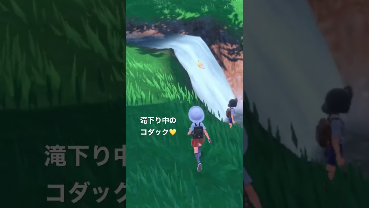 【ポケモンSV】かわいいコダック発見？！！#ポケモン #ポケットモンスター #ポケモンsv