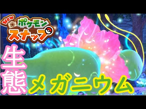 【3分で分かる】メガニウムの生態【ポケモンスナップ】