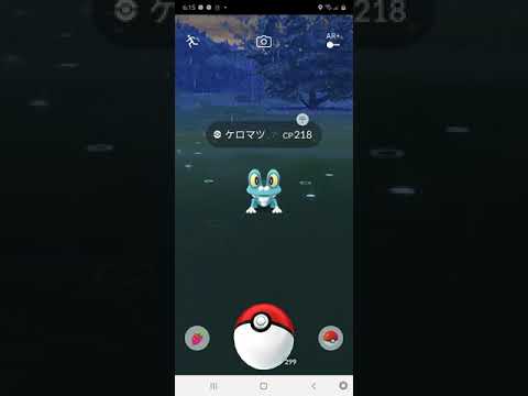 ケロマツに見つめられるだけ