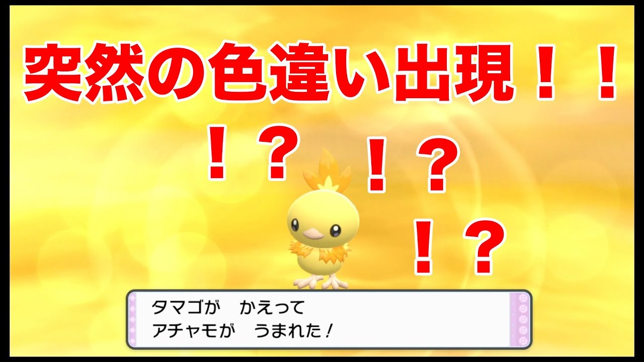 突然！！色違いアチャモが生まれてしまう！！！【ポケモンダイパリメイク】