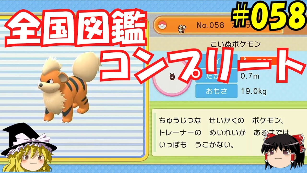 【毎日投稿】1日1匹ぜんこく図鑑登録 #ガーディ【ゆっくり実況】