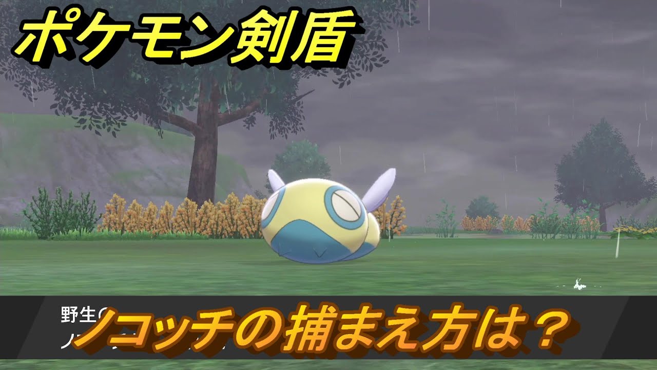 ポケモン剣盾　ノコッチを捕まえる方法！オススメの場所は？天気は？ポケモン図鑑コンプへの道！　最新版【ポケモンソード・シールド】
