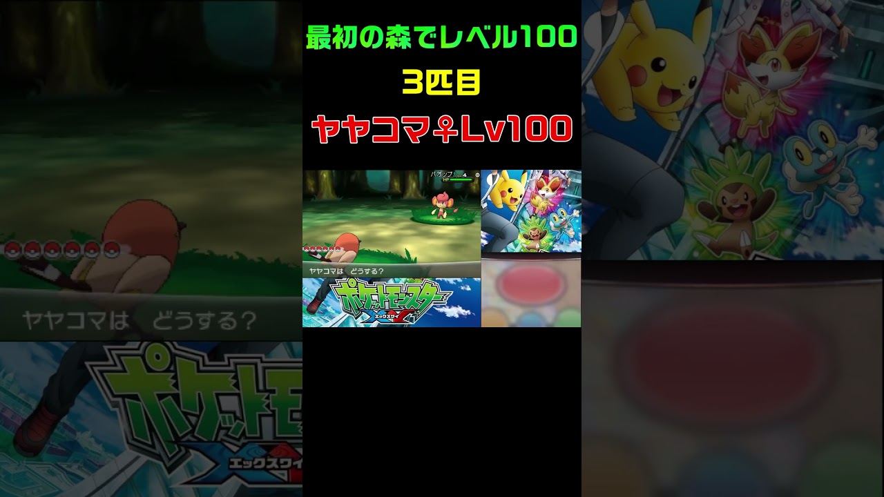最初の森でレベル100・3匹目(ヤヤコマ♀)【ポケモンY】#Shorts