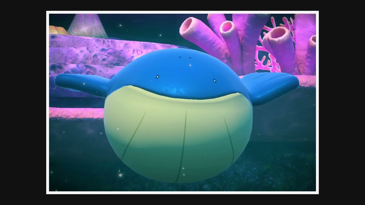 【New ポケモンスナップ】 ホエルコ （No.110）☆ 　【Pokemon】【Pocket Monsters】