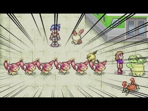 エネコの多頭飼い【ポケモンレンジャー】#3