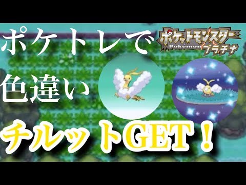 【ポケトレ】色違いチルットゲット！進化もあるよ！プラチナ shiny Swablu Altaria