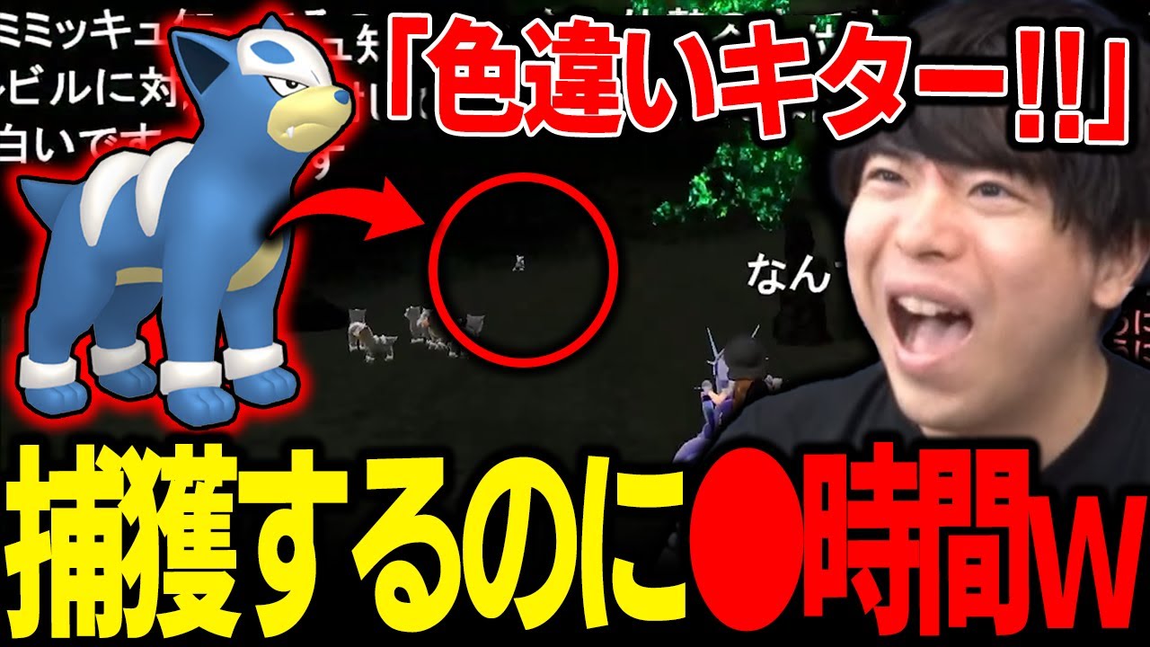 【もこう切り抜き】捕獲するのに●時間かかった「色違いデルビル」に感動する漢ｗｗｗ【ポケモンSV】