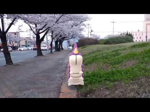 개무소 ( Wurmple ) ケムッソ ( 刺尾蟲 ) (16:9)