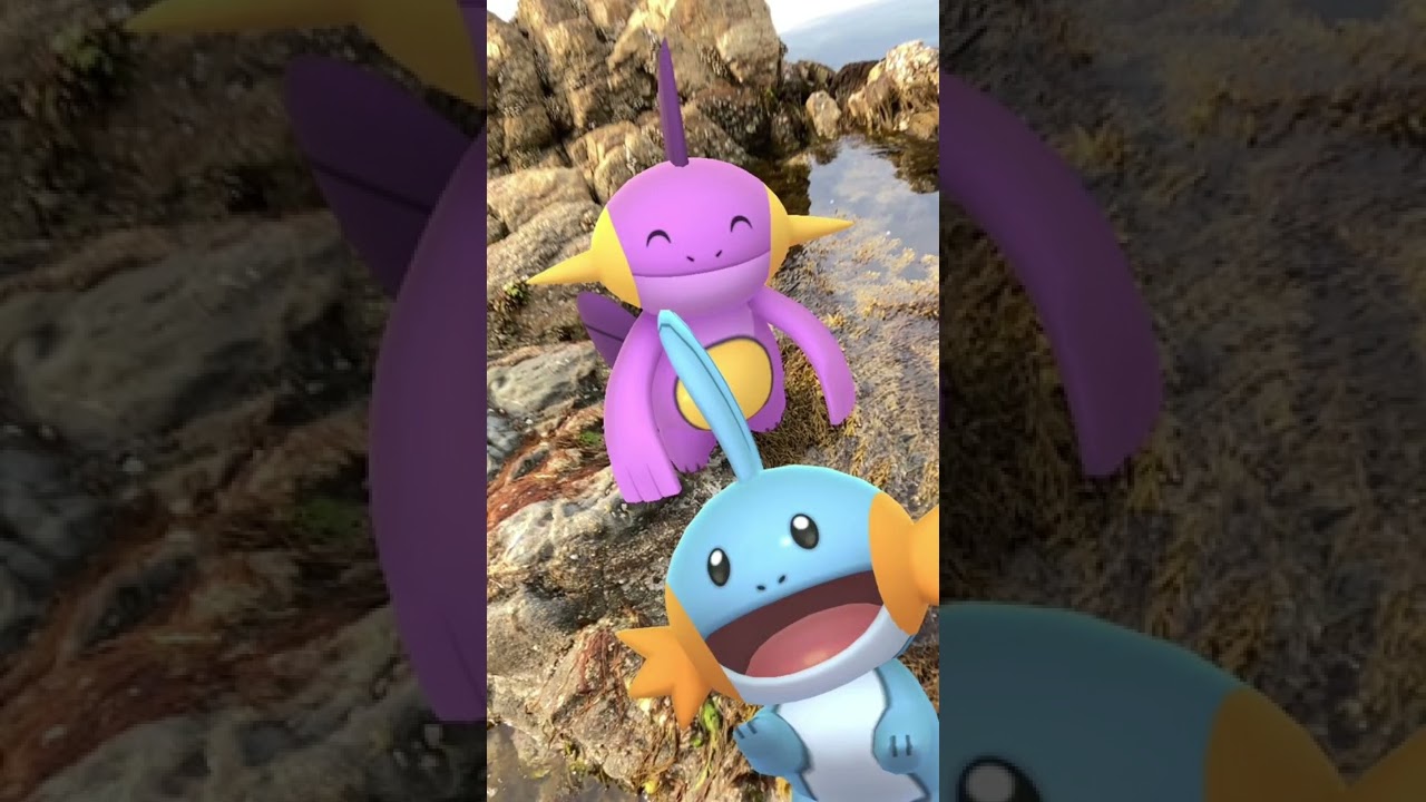 ミズゴロウ｜Mudkip｜ヌマクロー｜Marshtomp｜ラグラージ｜Swampert｜GOphotobomb【ポケモンGO】｜AR動画｜PoKeMoN GO AR｜#Shorts