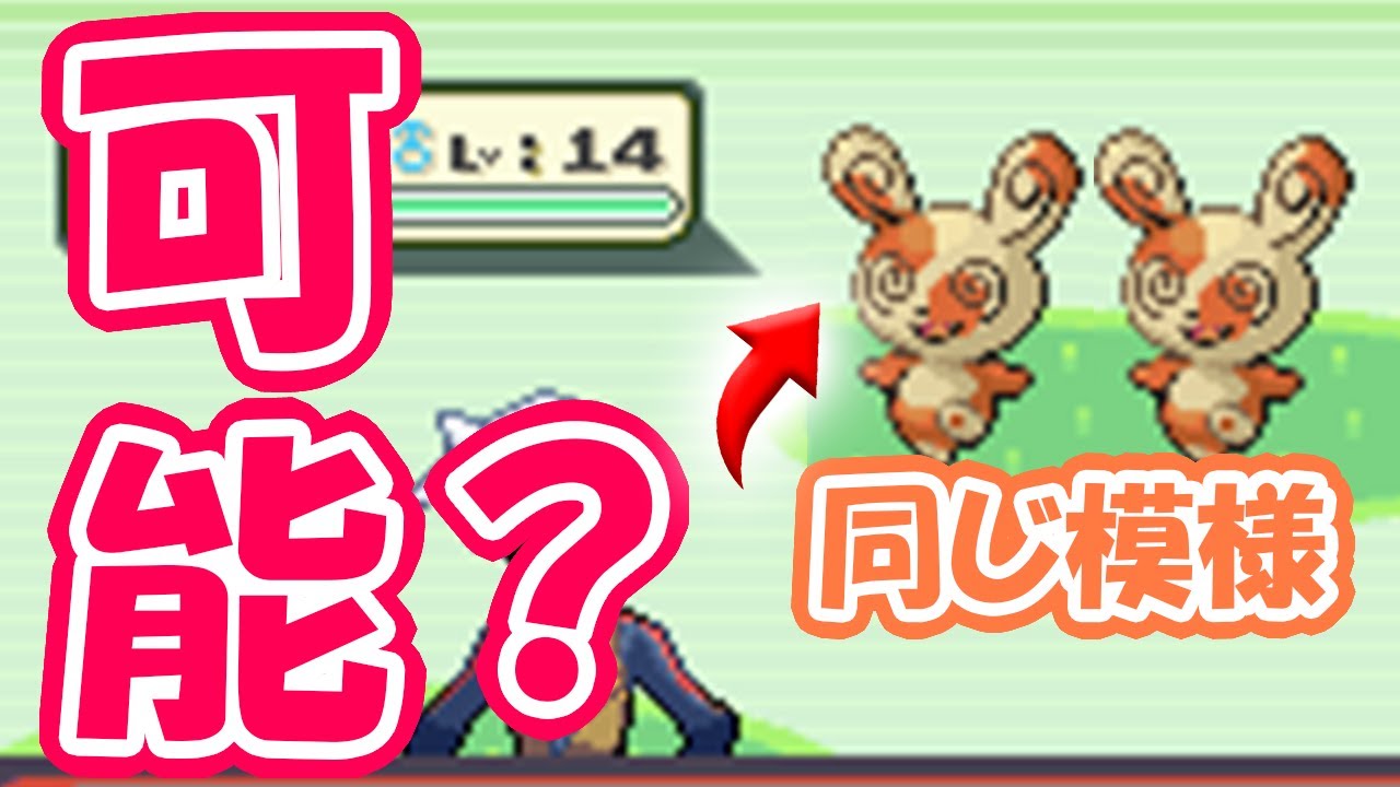【乱数調整未使用】現実的に同じ柄のパッチールに出会えるのか【ノーカット編集なし】
