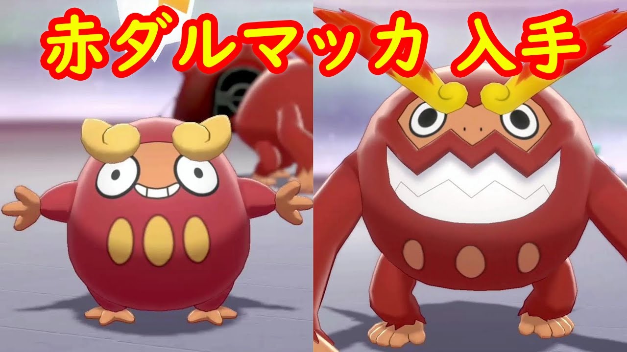 【赤ダルマッカ → ヒヒダルマ】入手 攻略 + キャンプで遊ぶ【ポケモン剣盾 ポケモンHOME ポケモン ソード シールド 】