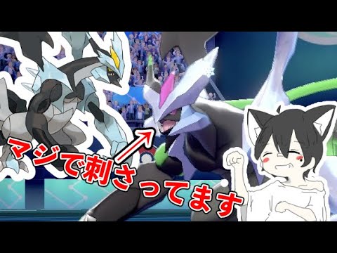 【刺さる】ブラックキュレムが禁伝環境にガチ刺さりしてます【ポケモン剣盾】
