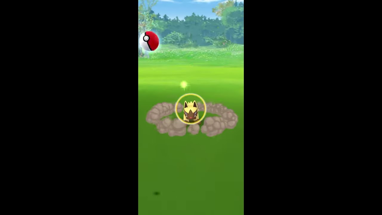 【Pokémon GO】色違い ポチエナ GET✨