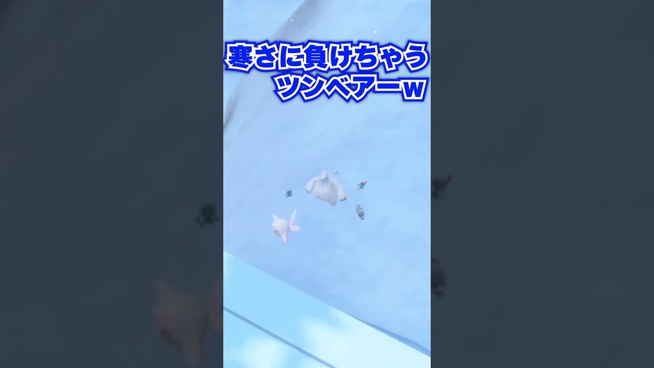 寒さに負けるツンベアーwww　#shorts