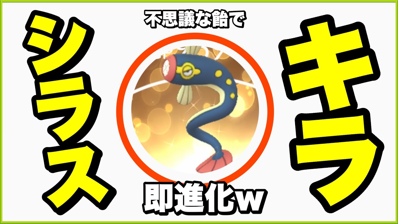 【初日】シビシラス確保してキラらせて不思議な飴使って即進化させてみたw【ポケモンGO】234