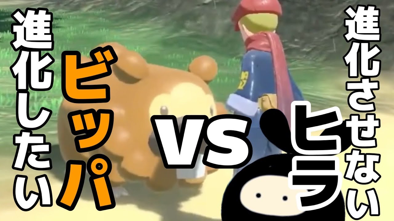【ヒラ切り抜き】ビッパを愛でまくるヒラまとめ【Pokémon LEGENDS アルセウス】