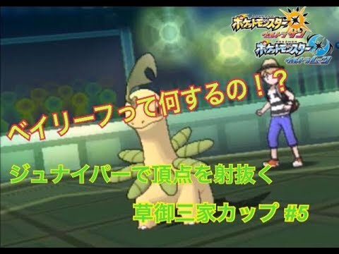 【ポケモンUSUM】まさかのベイリーフ！？いったい何するの？【草御三家カップ・５】
