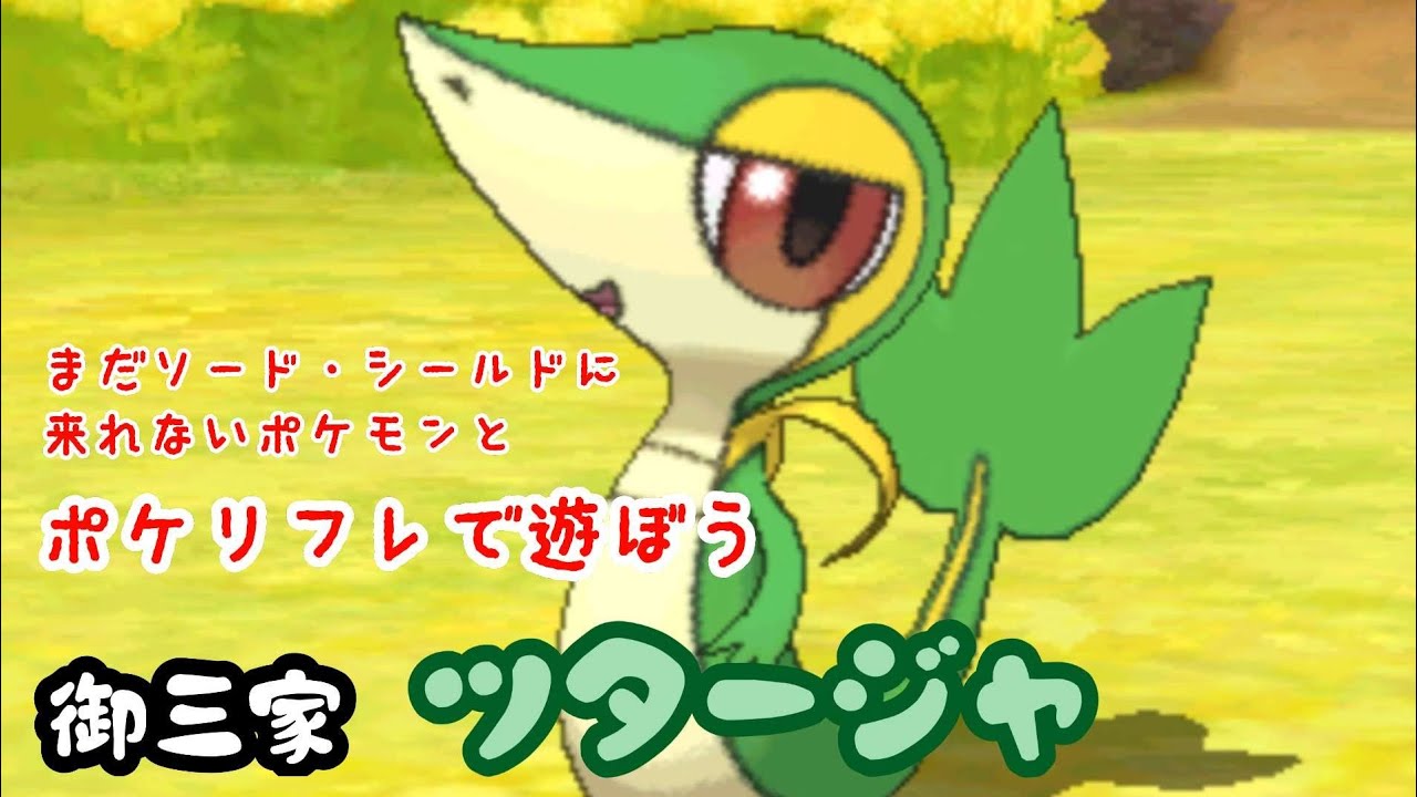 【ポケリフレ】495 ツタージャとポケリフレで遊ぼう♪ ツタージャ