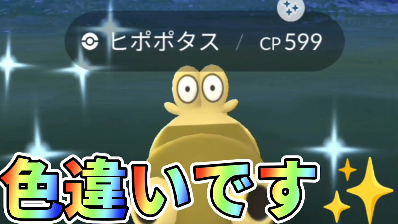 【ややこしい】ぱっと見気づかない色違いヒポポタス、その個体値は果たして！？ポケモンGO/自然遭遇/shorts