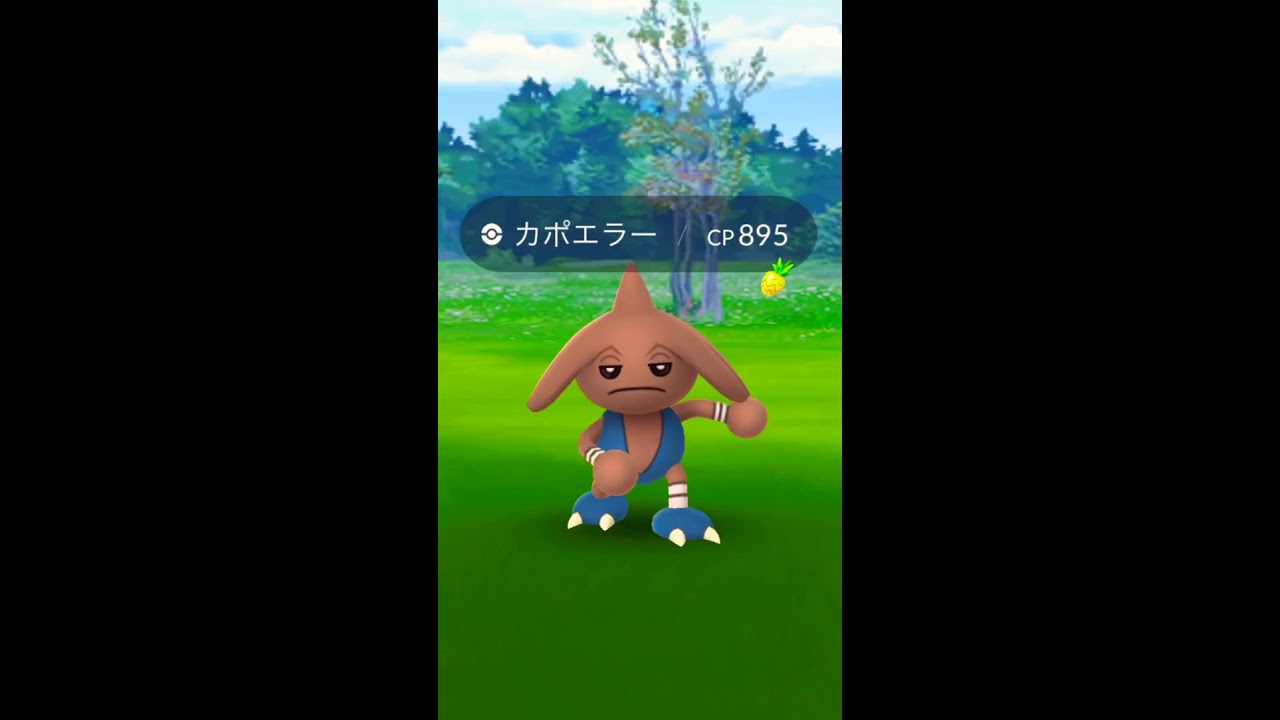 野生のカポエラーが楽しそうw