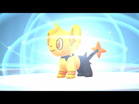 【ポケモンGO】色違いルクシオへ進化させる！ #shorts