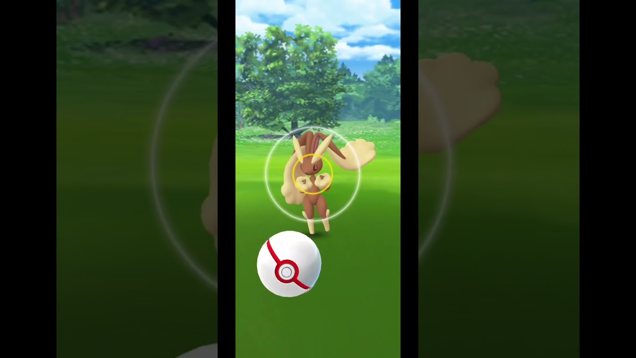 超級長耳兔團體戰 ミミロップ MEGA Lopunny防禦15 HP15 Pokemon GO