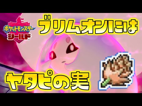 【ポケモン剣盾】ブリムオンにはヤタピのみ！土壇場で火力を上げて土竜狩り！ゆっくり達のポケットモンスターシールド part46