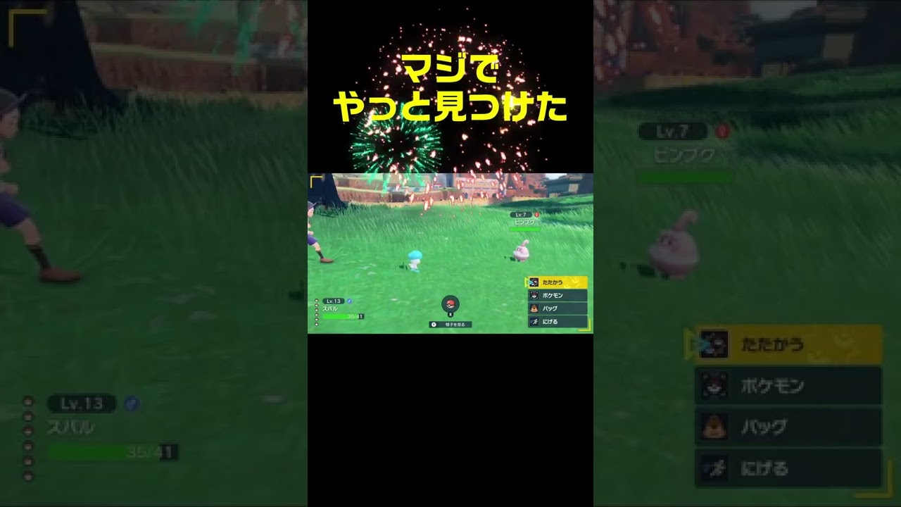 初めて見つけた念願のピンプク　#shorts　ポケモンSV