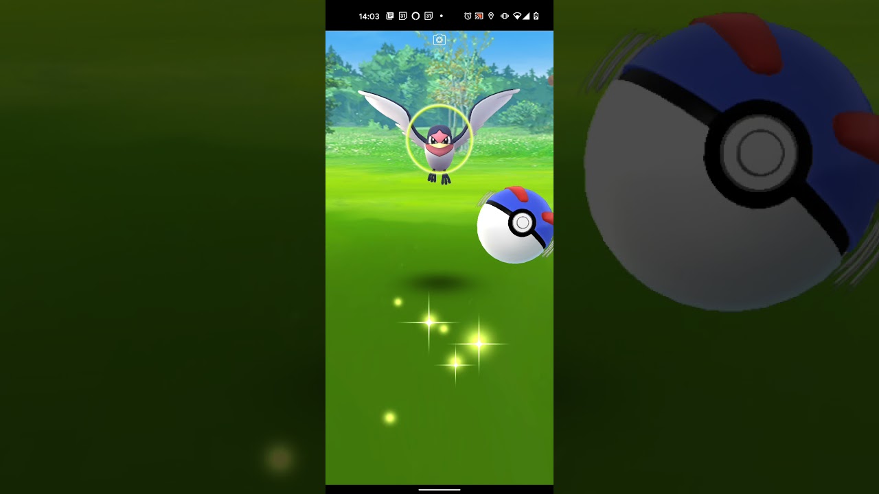 【ポケモンGO】スバメをワンショット・エクセレント・カーブスローでゲットしただけの動画