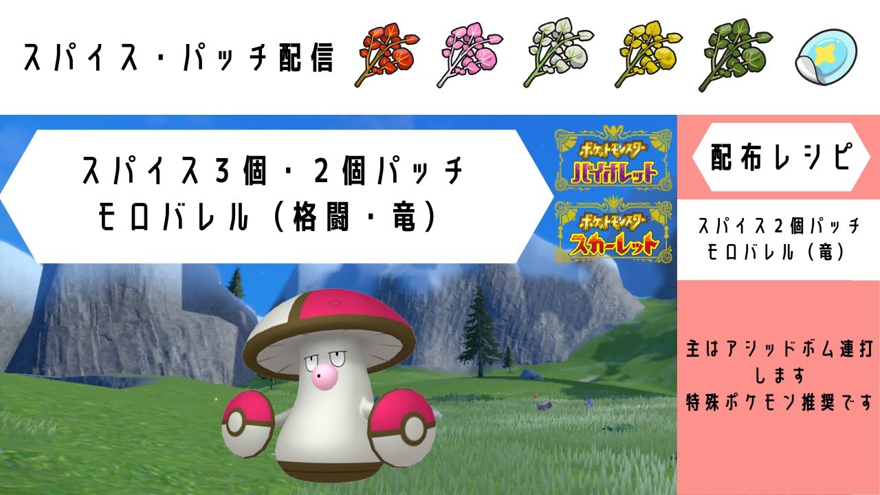 【ポケモンSV】 高速周回 ３スパモロバレル（格闘）・スパ２パッチモロバレル（竜）【レイド配布】