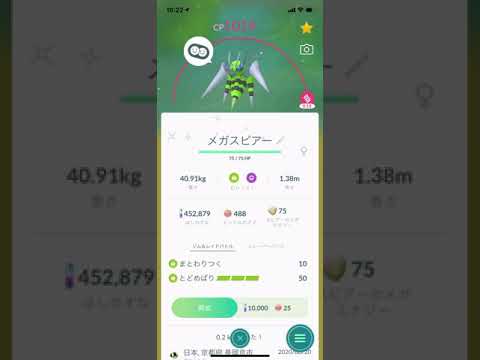 ポケモンgo 色違いメガスピアーからスピアーへ戻る瞬間