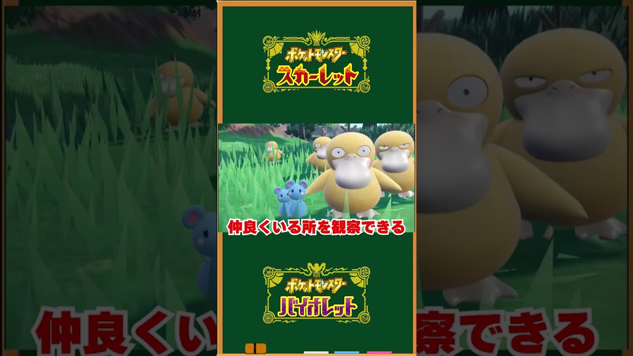 【ポケモンSV】ポケモン生態報告:ルリリ【ポケットモンスタースカーレット・バイオレット】#Shorts